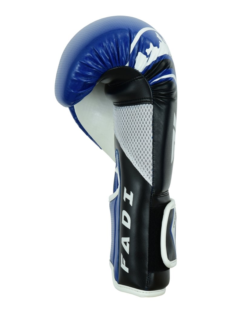 FADI | BOXING GLOVES | TRAIN EVOLUTION | MADE OF MATTE ARTIFICIAL LEATHER - Fadi SportsBoxing Gloves & Mitts