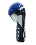 FADI | BOXING GLOVES | TRAIN EVOLUTION | MADE OF MATTE ARTIFICIAL LEATHER - Fadi SportsBoxing Gloves & Mitts